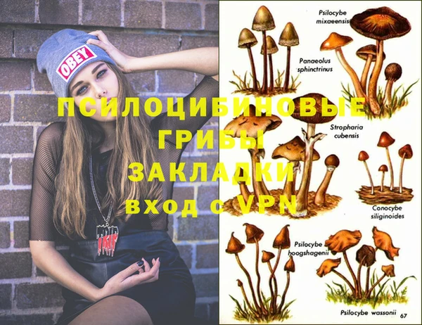 ПСИЛОЦИБИНОВЫЕ ГРИБЫ Заволжск