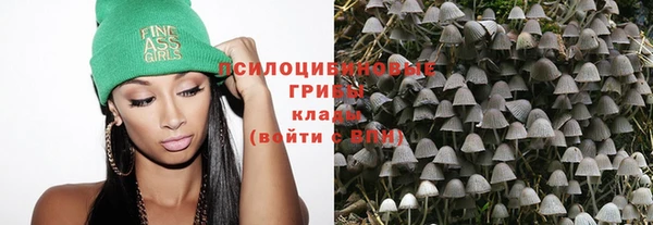 дурь Заволжье