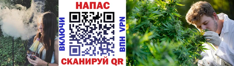 Каннабис план хочу наркоту Сковородино